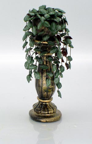 Inch Plant